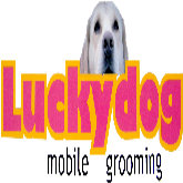 lucky dog m.