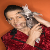 No image